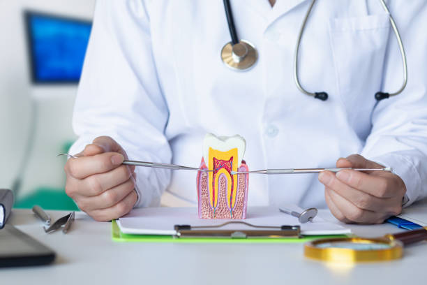 Best Knocked-Out Tooth Emergency  in Glenn Dale, MD